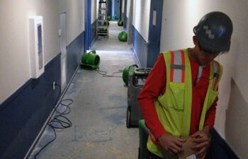 Mold Remediation Oversight Mold Remediation Oversight