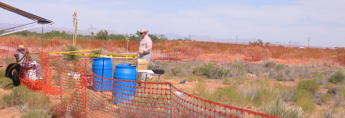 Pesticide contamination environmental
site assessment, Bowie, Arizona